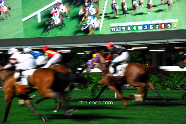 Large TV To Make Sure You Don't Miss The Race @ Happy Valley Racecourse, Hong Kong